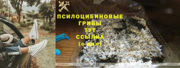 бошки Волоколамск