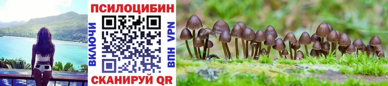 Купить где  Камышлов  Галлюциногенные грибы Psilocybe 